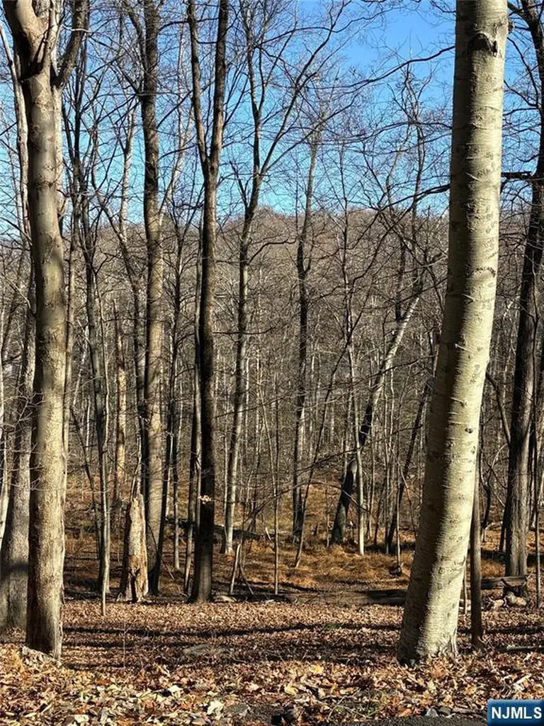 2 Kent Brook Terrace Kinnelon Borough NJ 07405
