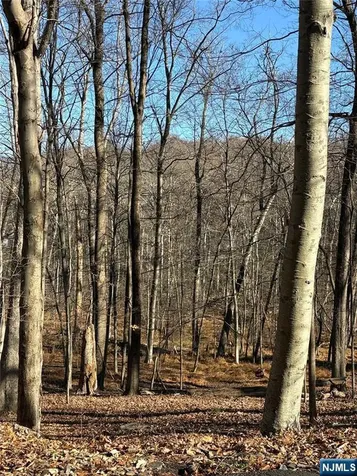 2 Kent Brook Terrace Kinnelon Borough NJ 07405