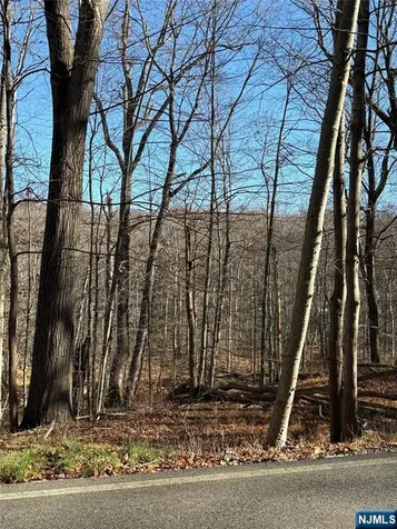 2 Kent Brook Terrace Kinnelon Borough NJ 07405