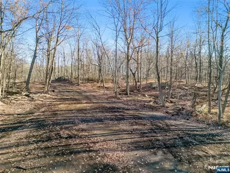 6 Old Farm Way Alpine NJ 07620