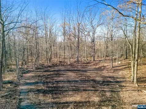 6 Old Farm Way Alpine NJ 07620