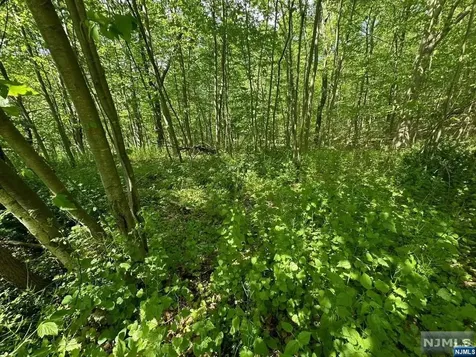 0 Gladstone Road West Milford NJ 07421