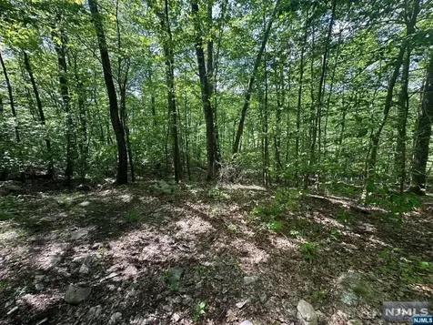 0 Gladstone Road West Milford NJ 07421
