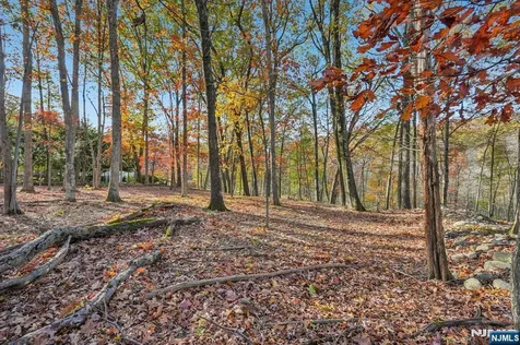 212 Seminole Lane Franklin Lakes NJ 07417