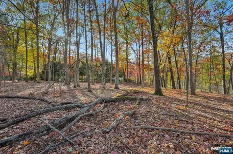 212 Seminole Lane Franklin Lakes NJ 07417