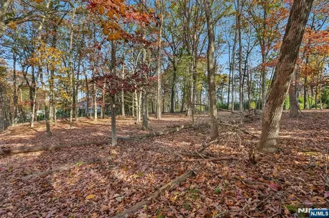 212 Seminole Lane Franklin Lakes NJ 07417