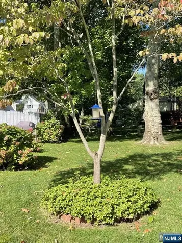 52 Otoole Street Westwood NJ 07675