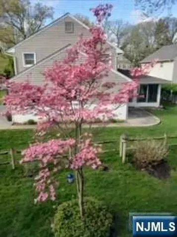 52 Otoole Street Westwood NJ 07675
