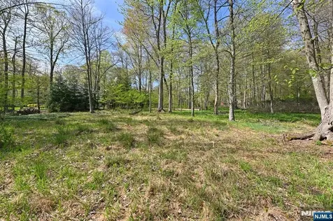 43 Twin Brooks Road Saddle River NJ 07458