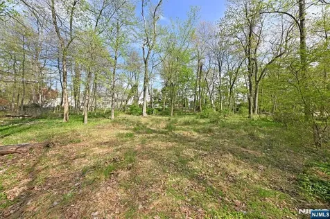43 Twin Brooks Road Saddle River NJ 07458