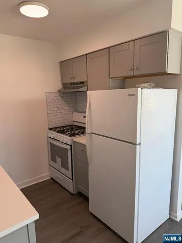 206 Riverview Place Cliffside Park NJ 07010