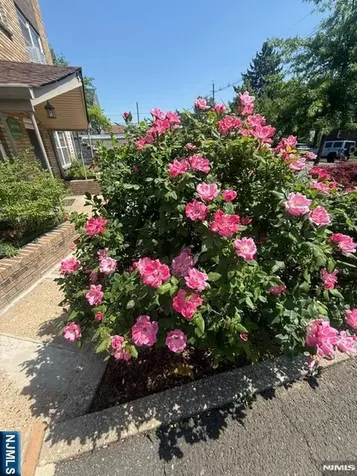 490 Union Avenue Rutherford NJ 07070