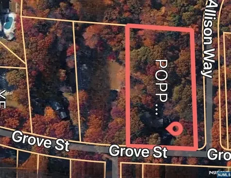 157 Grove Street Ramsey NJ 07446