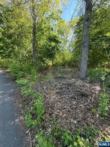 25 Budd Avenue Mount Olive Township NJ 07828