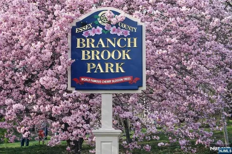 375 Mount Prospect Newark NJ 07104