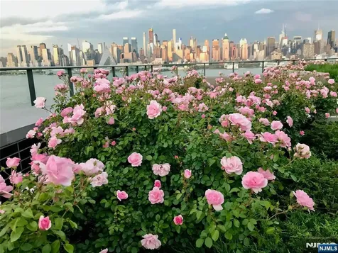 1200 Avenue Port Imp Weehawken NJ 07086