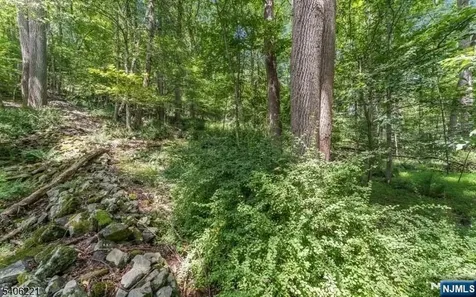 Sweet Hollow Road Holland NJ 08848