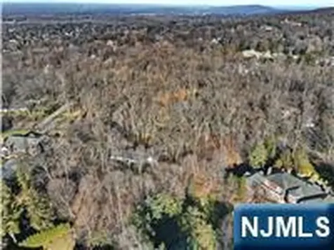 32 Litchfield Way Alpine NJ 07620