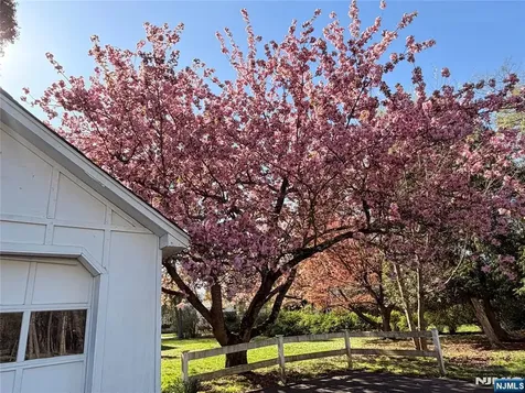 176 Park Avenue Allendale NJ 07401