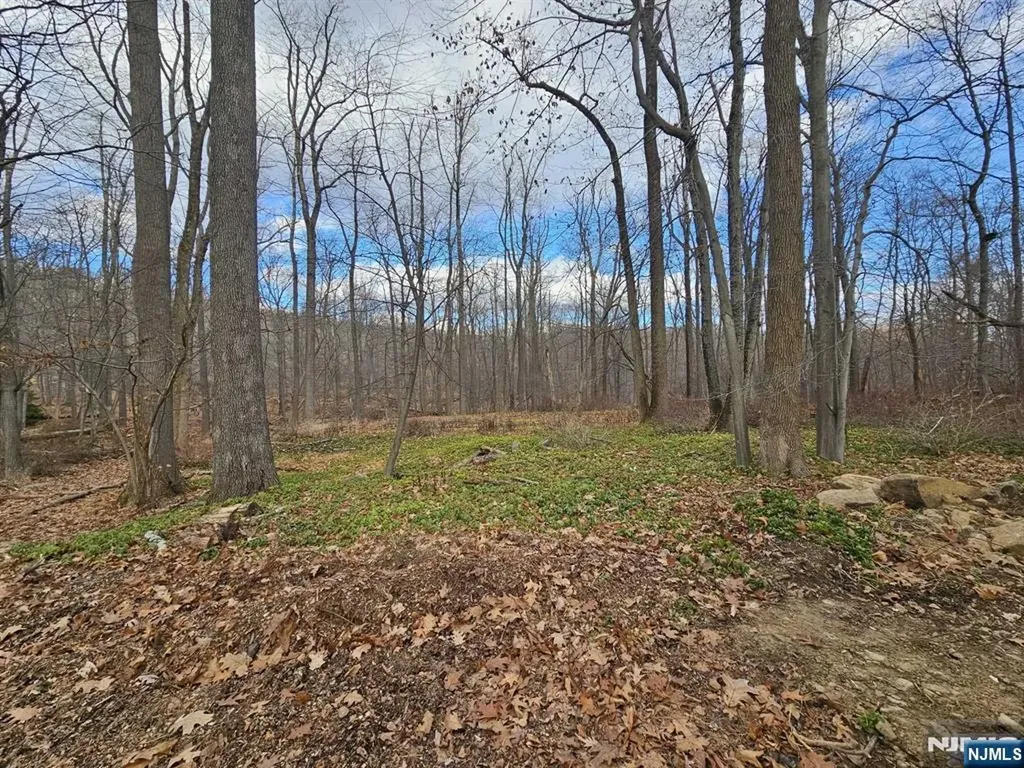 34 Starlight Drive Morris Township NJ 07960