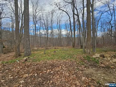 34 Starlight Drive Morris Township NJ 07960