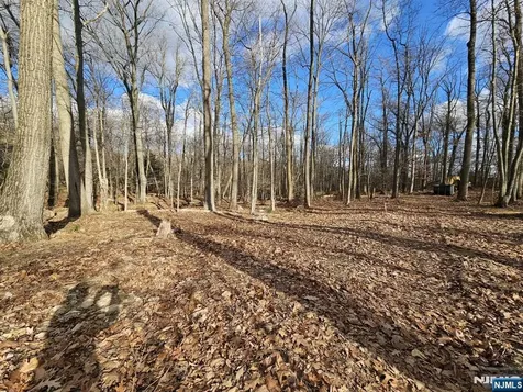 34 Starlight Drive Morris Township NJ 07960