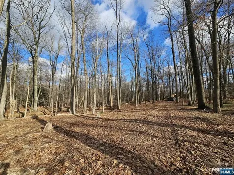34 Starlight Drive Morris Township NJ 07960