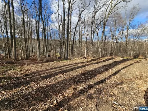 34 Starlight Drive Morris Township NJ 07960