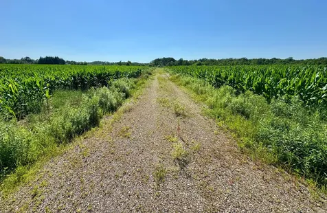 17891 90th Avenue Milaca MN 56353