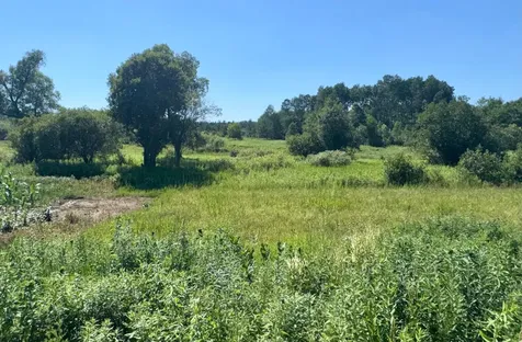 17891 90th Avenue Milaca MN 56353