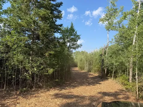 48043 Deerfield Road Kerrick MN 55756