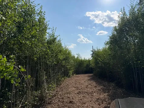 48043 Deerfield Road Kerrick MN 55756