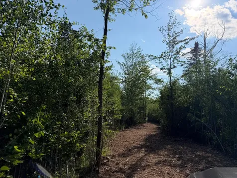 48043 Deerfield Road Kerrick MN 55756