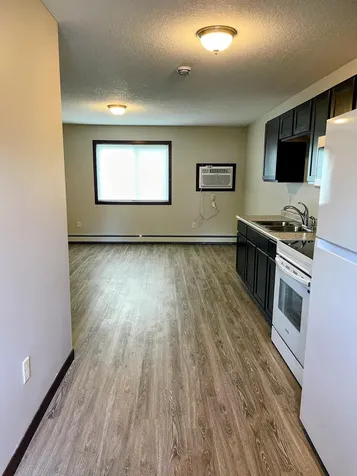 355 2nd Street SE Pine City MN 55063