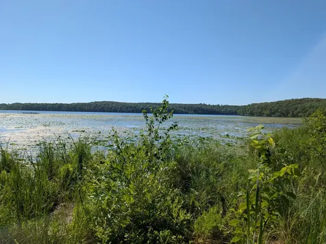 3223 Sebie Lake Road Fort Ripley MN 56449
