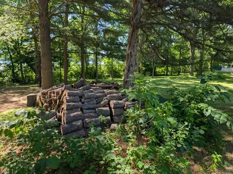 3223 Sebie Lake Road Fort Ripley MN 56449