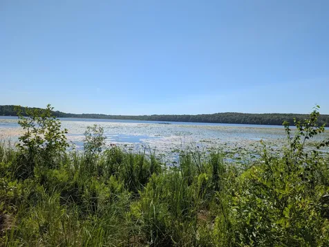 3223 Sebie Lake Road Fort Ripley MN 56449