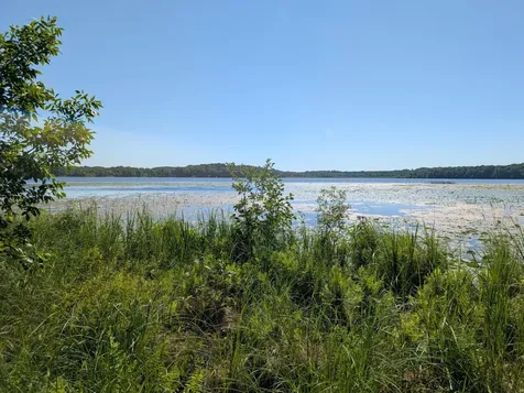 3223 Sebie Lake Road Fort Ripley MN 56449