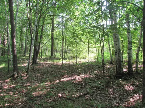Tbd County Road 137 Moose Lake MN 55767