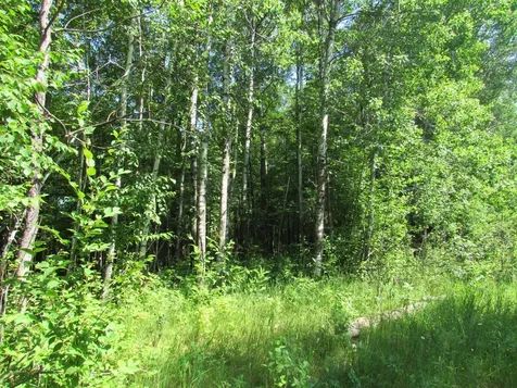 Tbd County Road 137 Moose Lake MN 55767