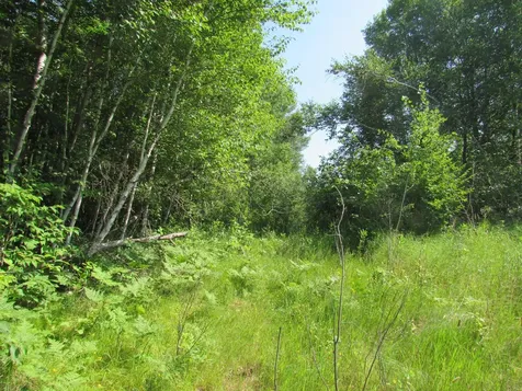 Tbd County Road 137 Moose Lake MN 55767