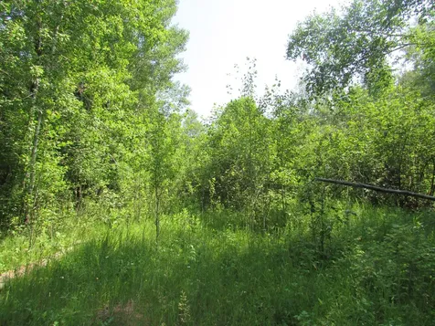 Tbd County Road 137 Moose Lake MN 55767