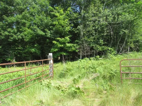 Tbd County Road 137 Moose Lake MN 55767