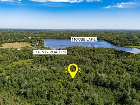 Tbd County Road 137 Moose Lake MN 55767
