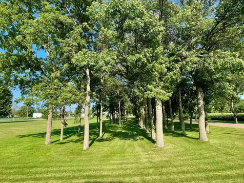 Tbd Center Street Clements MN 56224