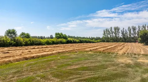 20990 110th Street Park Rapids MN 56470