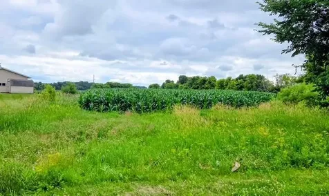 398 E Pike Street Osakis MN 56360