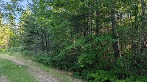 Lot B Highway 24 Orr MN 55771