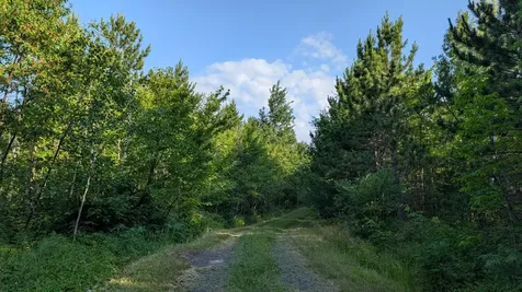 Lot B Highway 24 Orr MN 55771