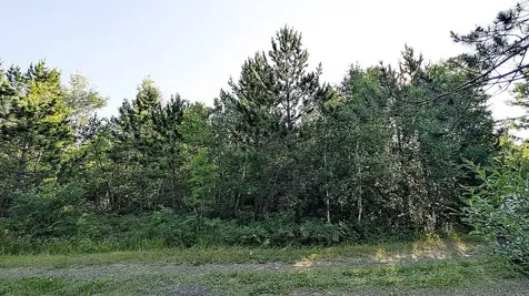 Lot B Highway 24 Orr MN 55771